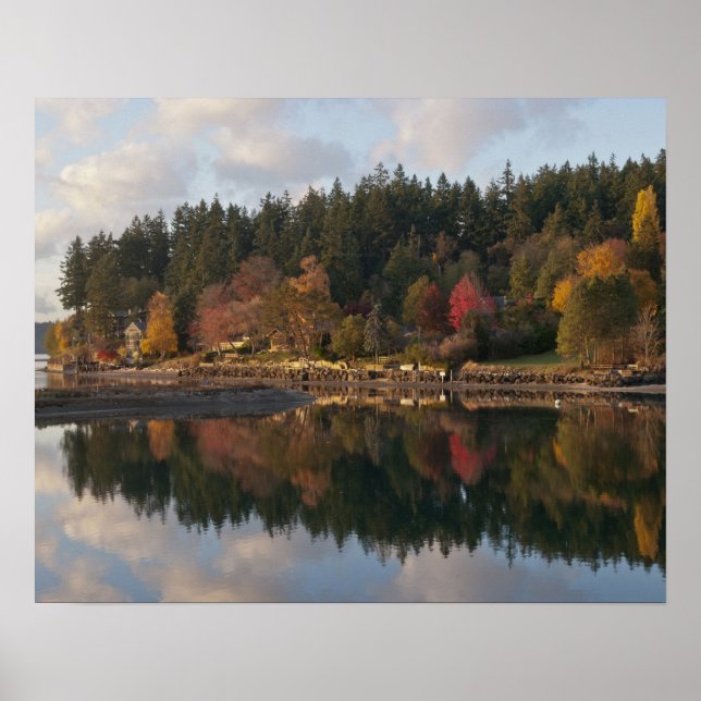 Poster Baie Fletcher (Devant)