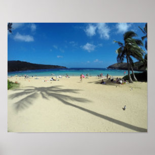 Poster Baie Hawaï de Hanauma
