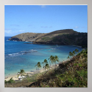 Poster Baie Hawaï de Hanauma