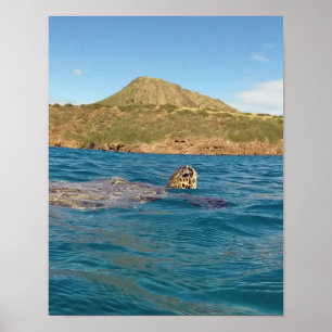 Poster Baie Hawaï de Hanauma