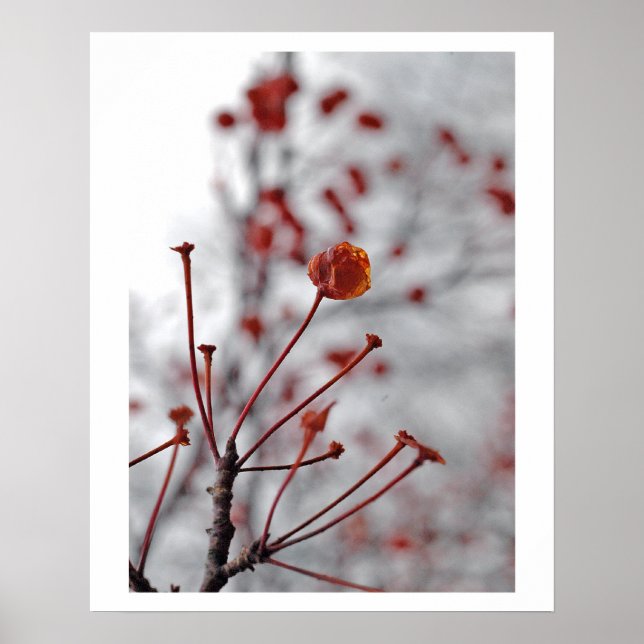 Poster baie rouge (Devant)