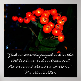 Poster Baies rouges avec Martin Luther