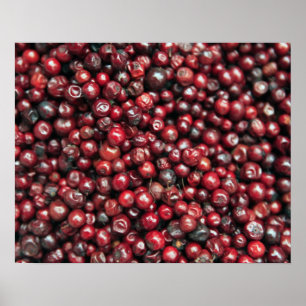 Poster Baies rouges de l'Himalaya