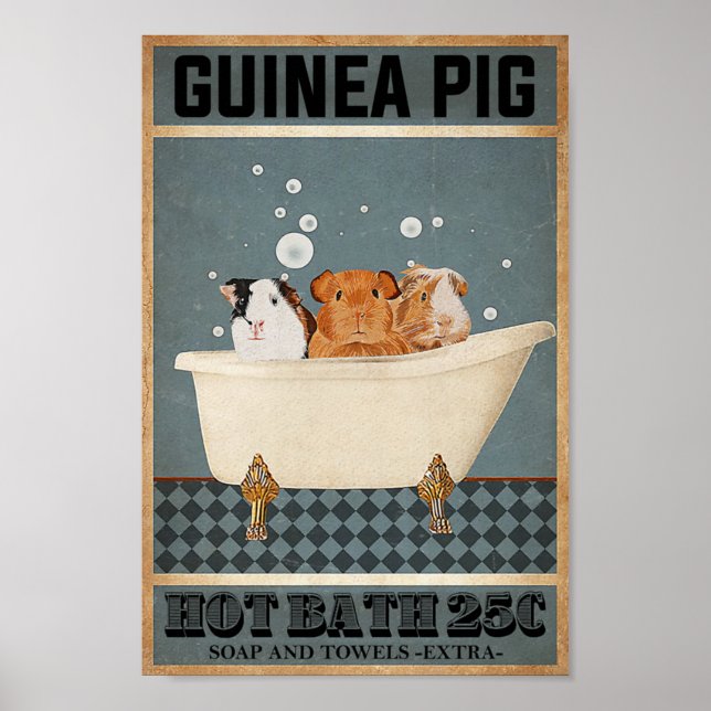Poster Bain chaud aux cochons de Guinée 25C (Devant)