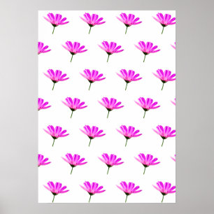 Poster Baise rose