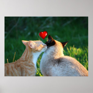 Poster baiser