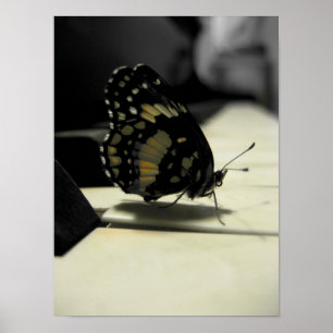 Poster Baisers à papillon