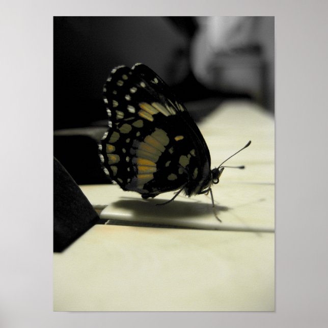 Poster Baisers à papillon (Devant)