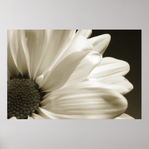 Poster Baisy noir et blanc