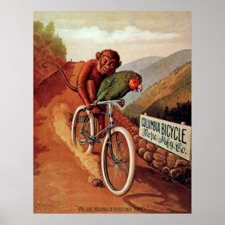 Poster Balade en vélo avec perroquet de singe vintage