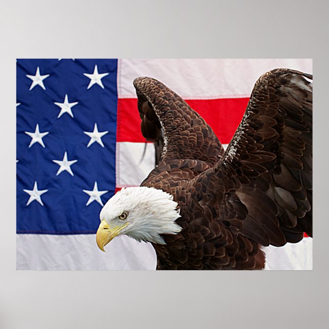 Poster Bald Eagle avec le drapeau américain (Devant)