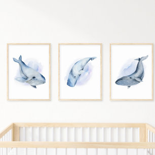 Poster Baleine à bosse de baleen aquarelle bleu blanc