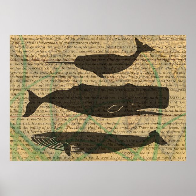 Poster Baleine antique Vie marine (Devant)