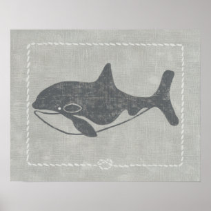 Poster Baleine tueuse marine