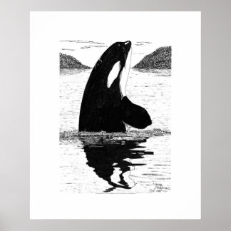 Poster Baleine tueuse, stylo et encre