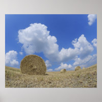 Bales de foin en Field, Pienza, Val d'Orcia, Sienn