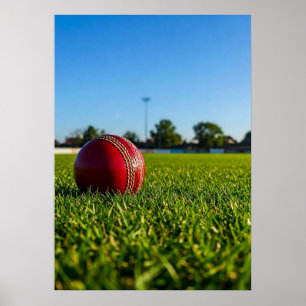 Poster Balle de cricket sur la marque de limite