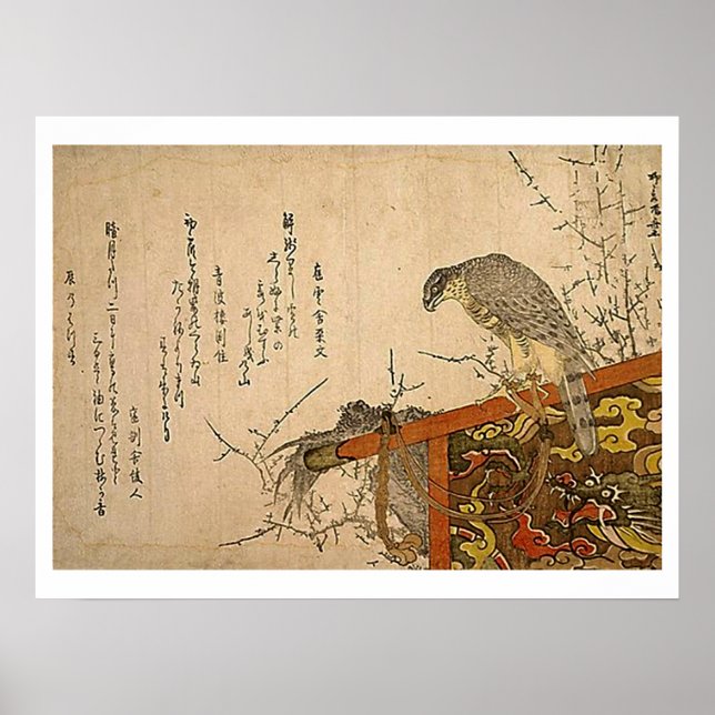 Poster Balle sur perche d'écran (Devant)