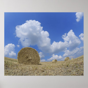 Poster Balles de foin dans le domaine, Pienza, d'Orcia de