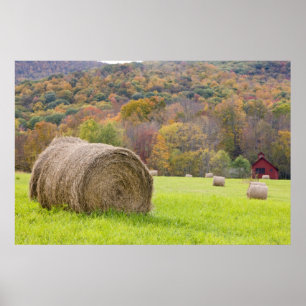 Poster Balles de foin et feuillage d'automne à la ferme,