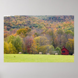 Poster Balles de foin et feuillage d'automne, sur une fer