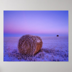 Poster Balles de paille en hiver près de Cartwright Nord