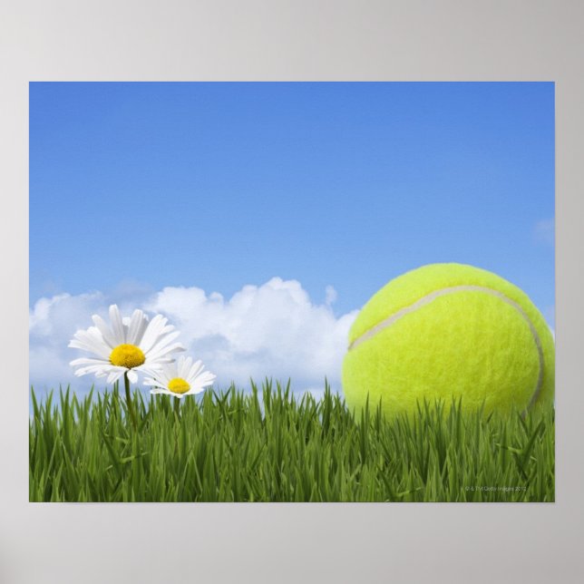 Poster Balles de tennis (Devant)
