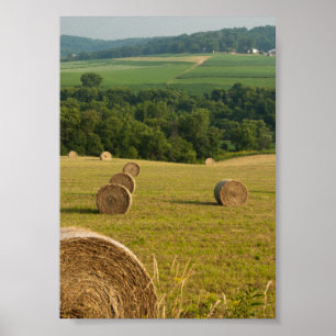 Poster Ballots de foin de la campagne