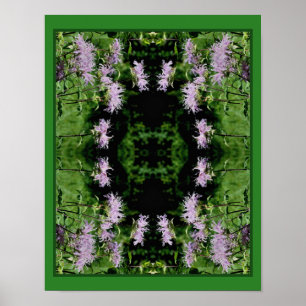 Poster Balme d'abeille violet sauvage Abstrait