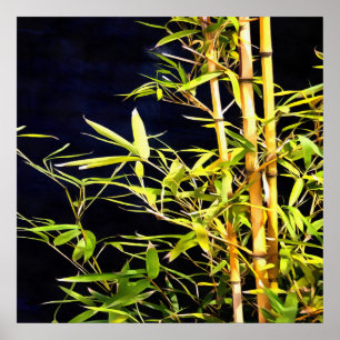 Poster Bamboo Foliage Tropical Art On Black