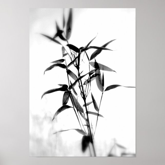 Poster Bamboo Sillouette (Devant)