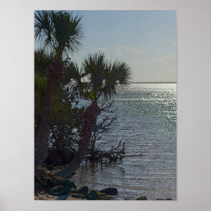 Poster Banana River Palm Trees Painterly