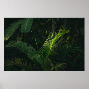 POSTER BANANE VERTE EN JOURNÉE