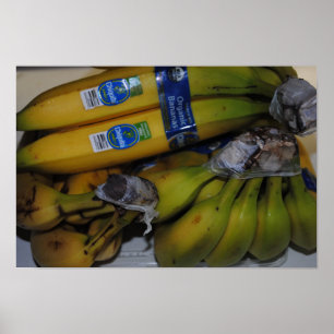 Poster Bananes bio
