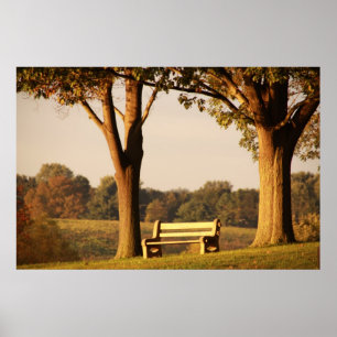 Poster Banc au coucher du soleil