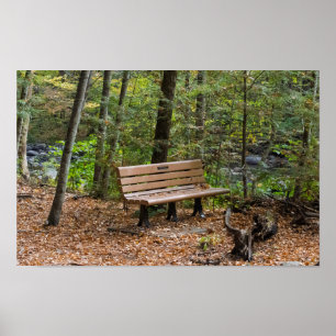 Poster Banc de forêt tranquille en automne