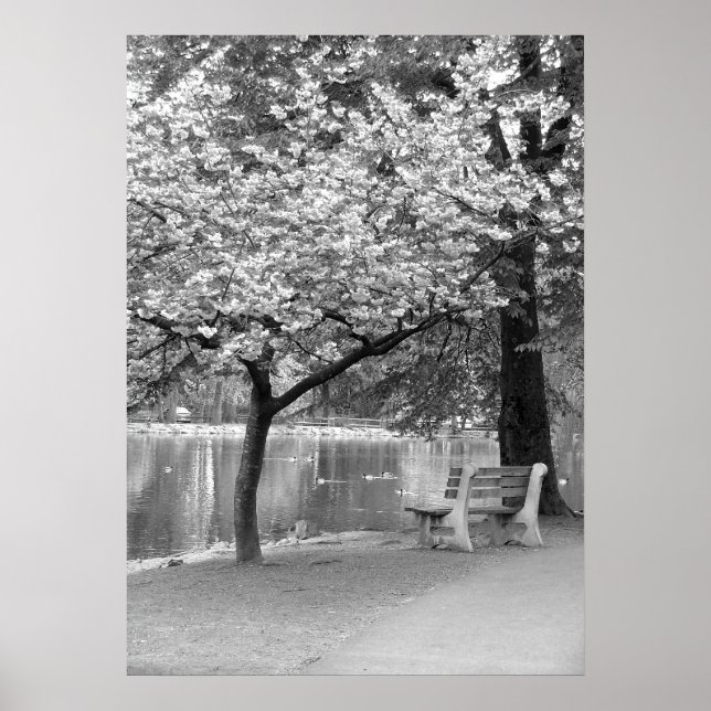 Poster Banc de parc (Devant)