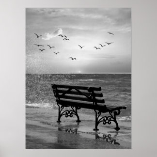 Poster Banc en bord de mer avec mouettes au coucher du so