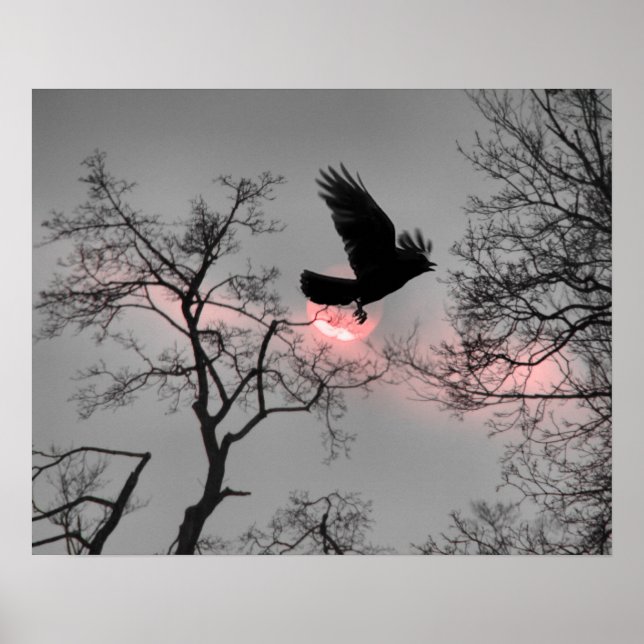 Poster Bande de ciel rose (Devant)