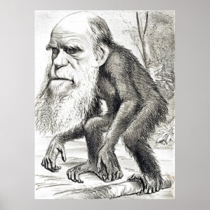Poster Bande dessinée éditoriale de Charles Darwin 1871