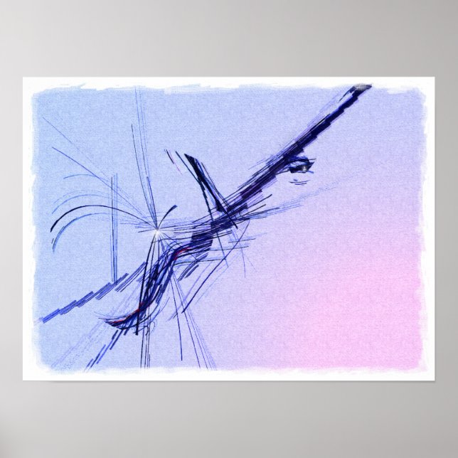 Poster Banjo en C Major (Devant)