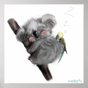 Poster Banjo Koala et Benji Bird