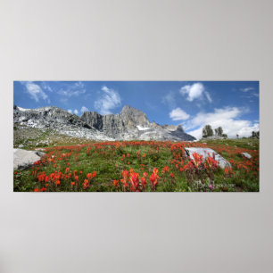 Poster Banner Peak Fleurs sauvages - Ansel Adams Wilderne