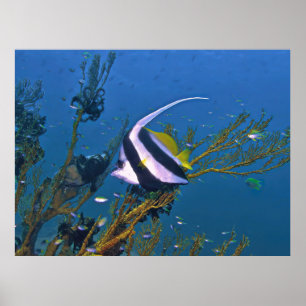 Poster Bannerfish dans le corail