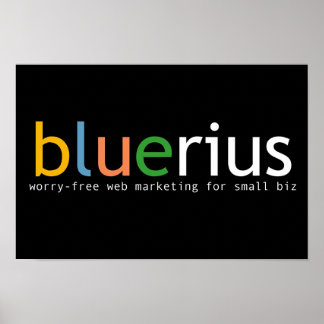 Poster bannière bluerius.com