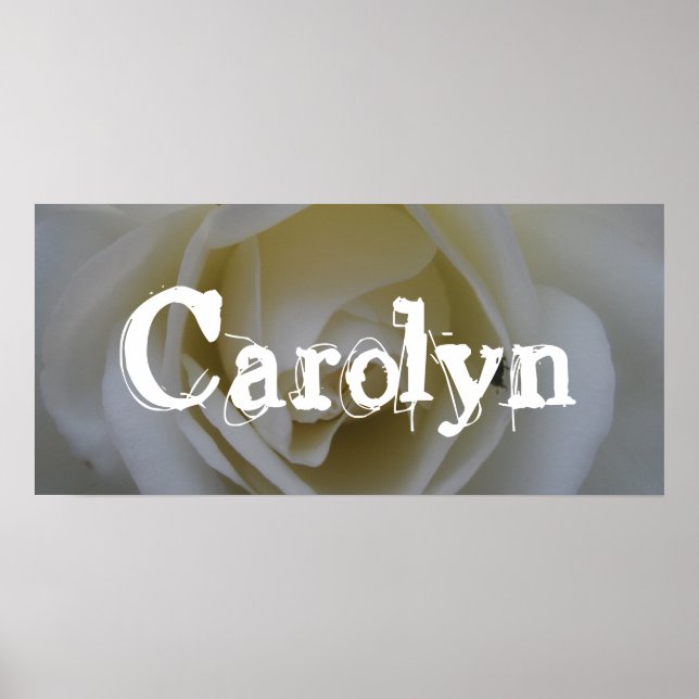 Poster Bannière de porte Carolyn White Rose (Devant)