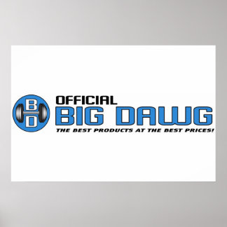 POSTER BANNIÈRE OBD