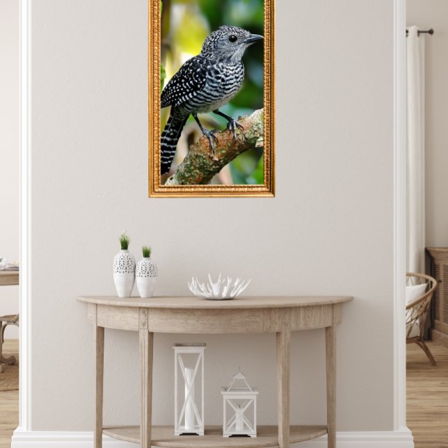 Poster Bar-crested antshrike  (Créateur téléchargé)