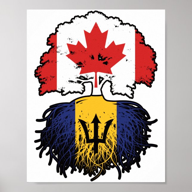Poster Barbade Barbadien Canadian Canada Tree Roots Drape (Devant)