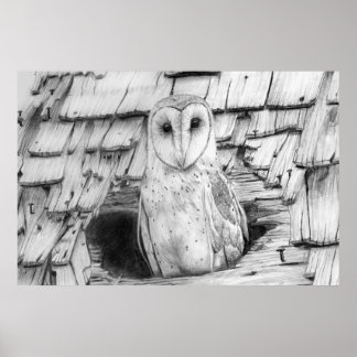 Poster Barn Owl